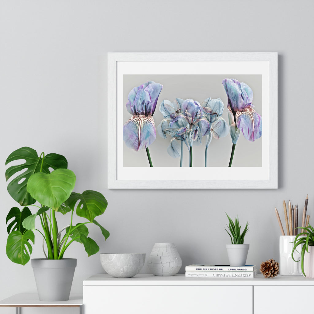 Iridescent Iris Floral Framed Poster — Horizontal Wall Art Print