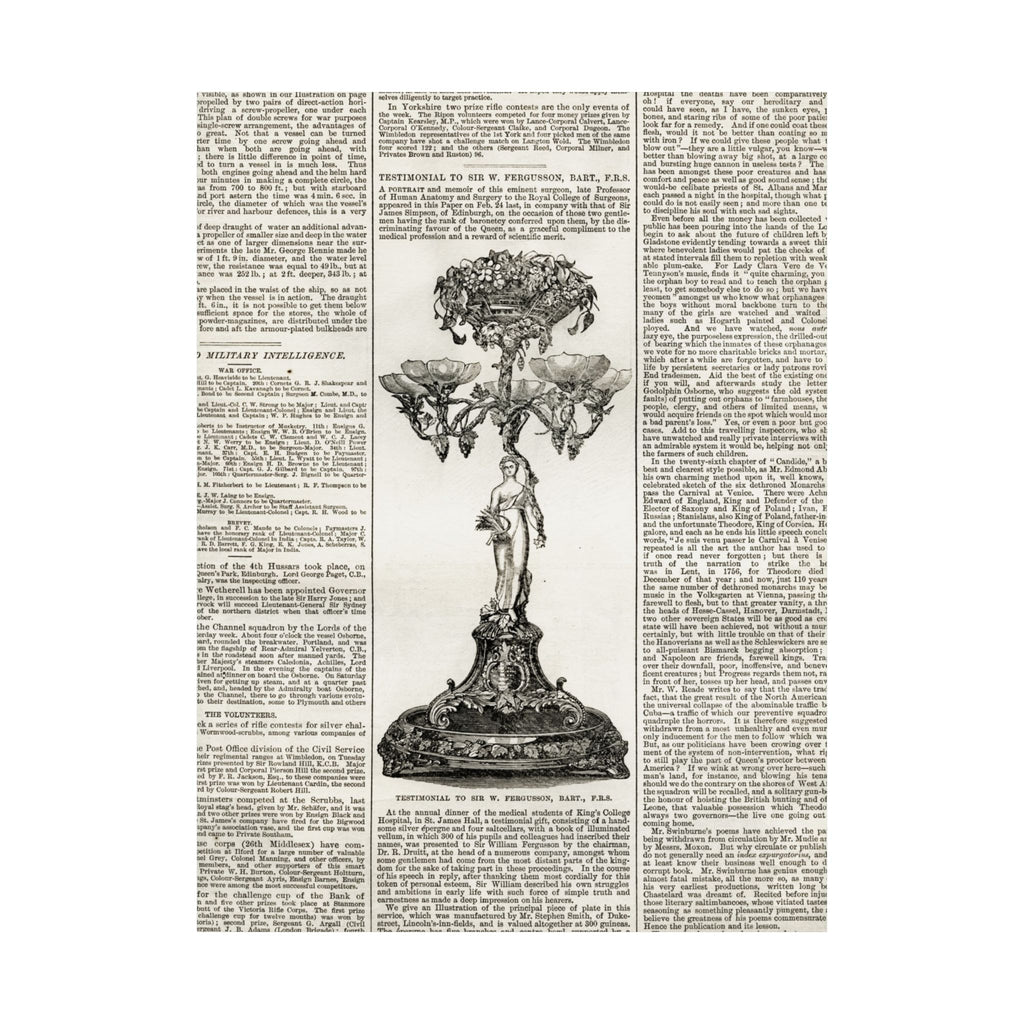 Vintage Botanical Dictionary Poster — Matte Vertical Wall Art