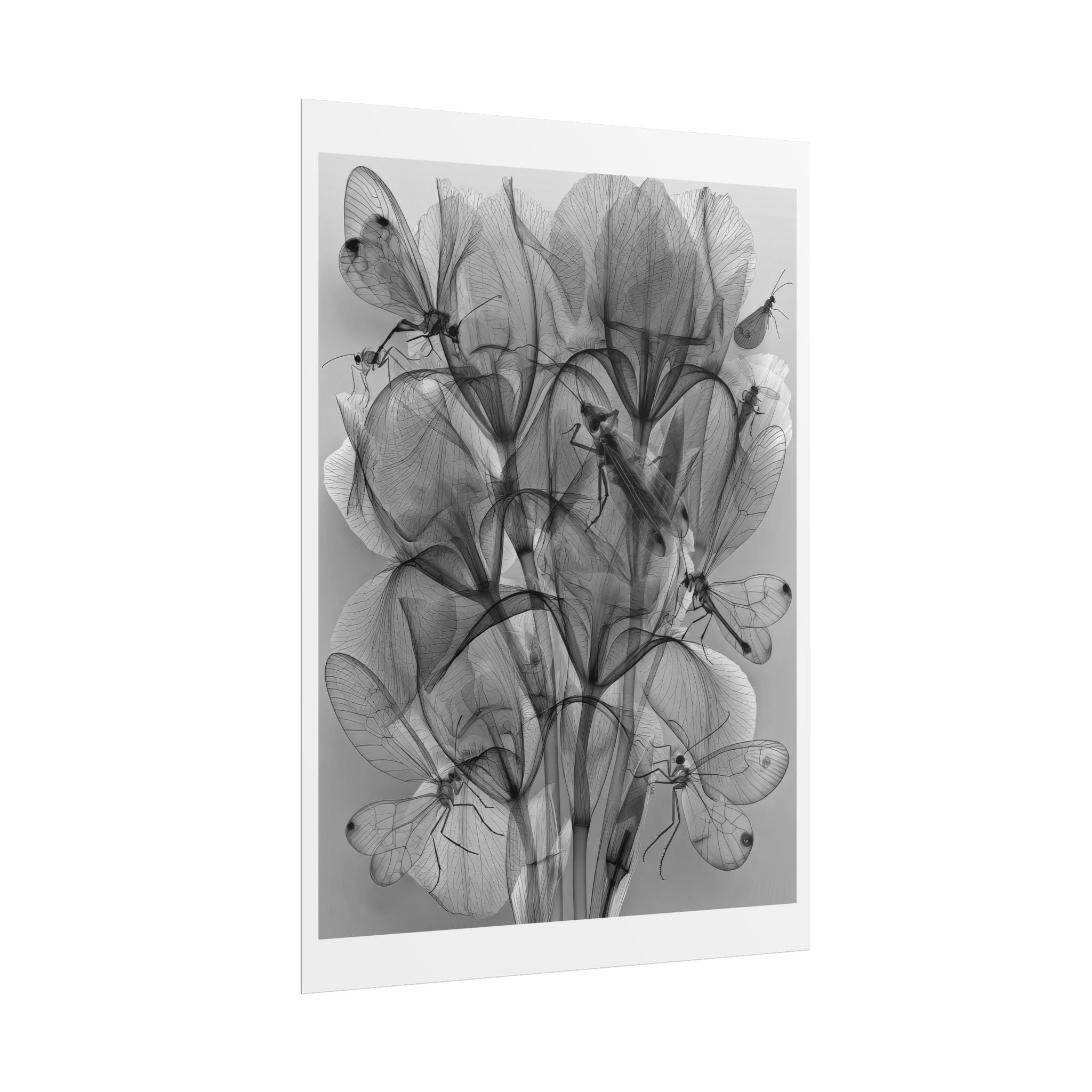 Botanical X-Ray Poster — Monochrome Floral Wall Art, Rolled Art Print