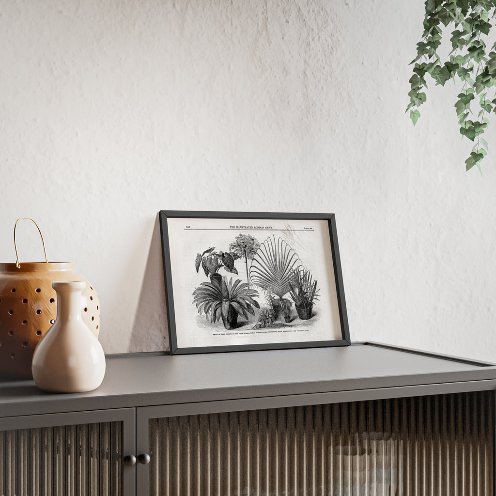 Group of Rare Plants at the International Horticultural Exhibition. Vintage Botanical Print Poster with Wooden Frame — Black & White Plant Illustration