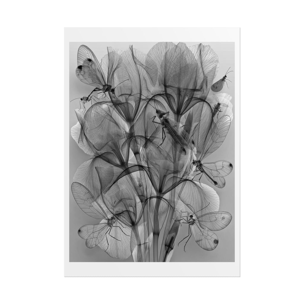 Botanical X-Ray Poster — Monochrome Floral Wall Art, Rolled Art Print