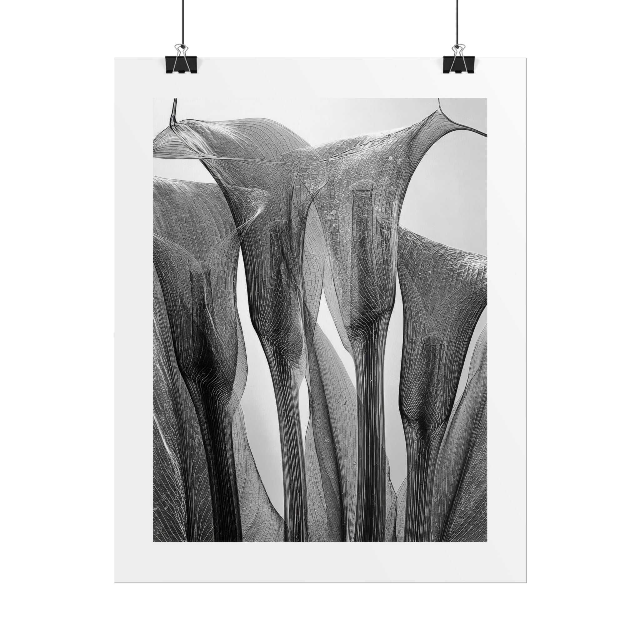 Abstract Botanical Poster — Black & White Calla Lily Photography (Rolled Poster)
