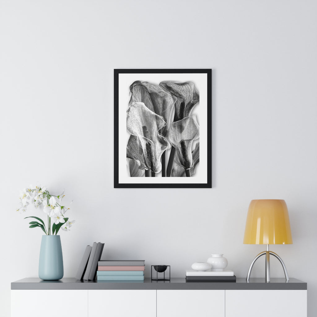 Black & White Calla Lily Framed Poster