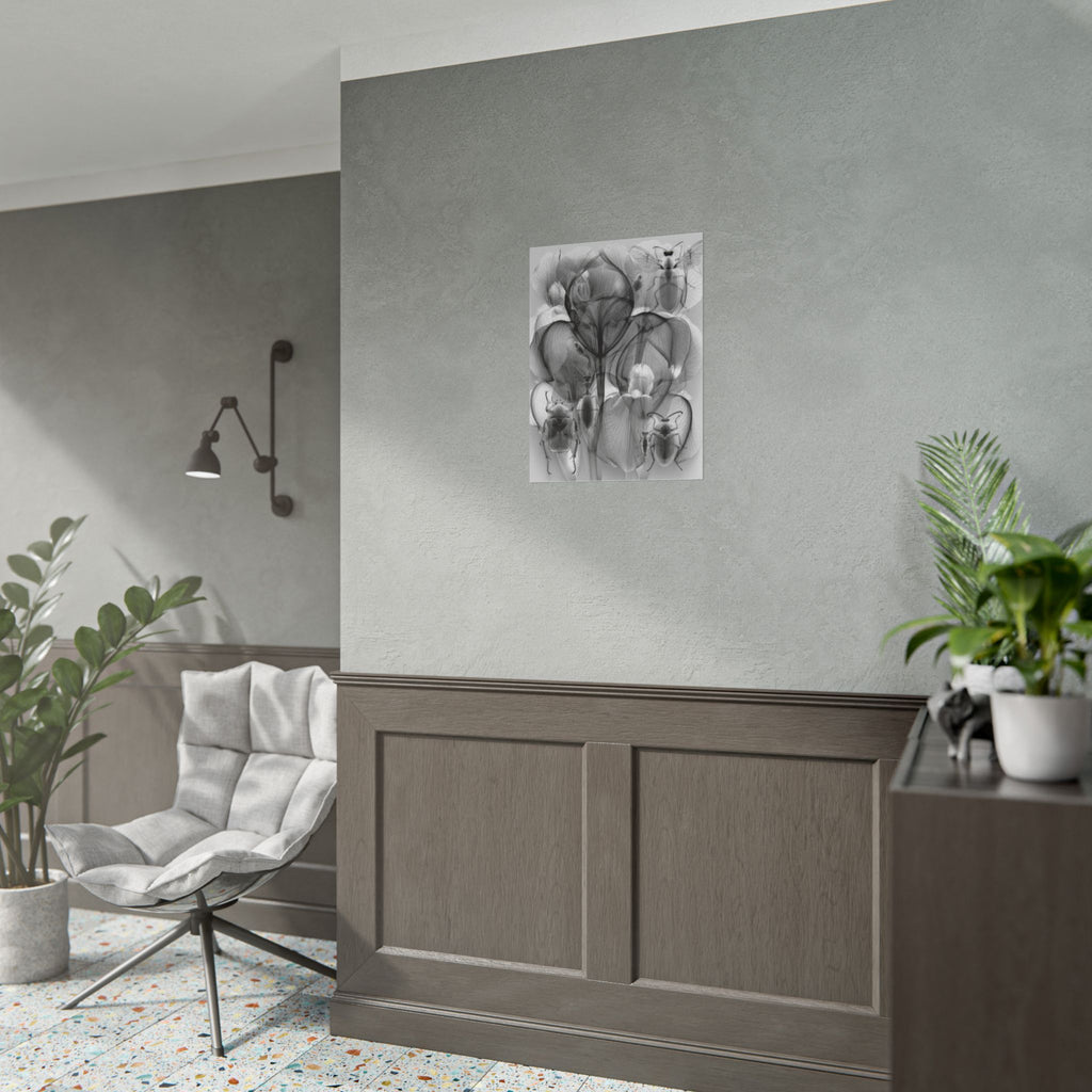 Orchid X-Ray Art Poster — Monochrome Floral Insect Wall Print