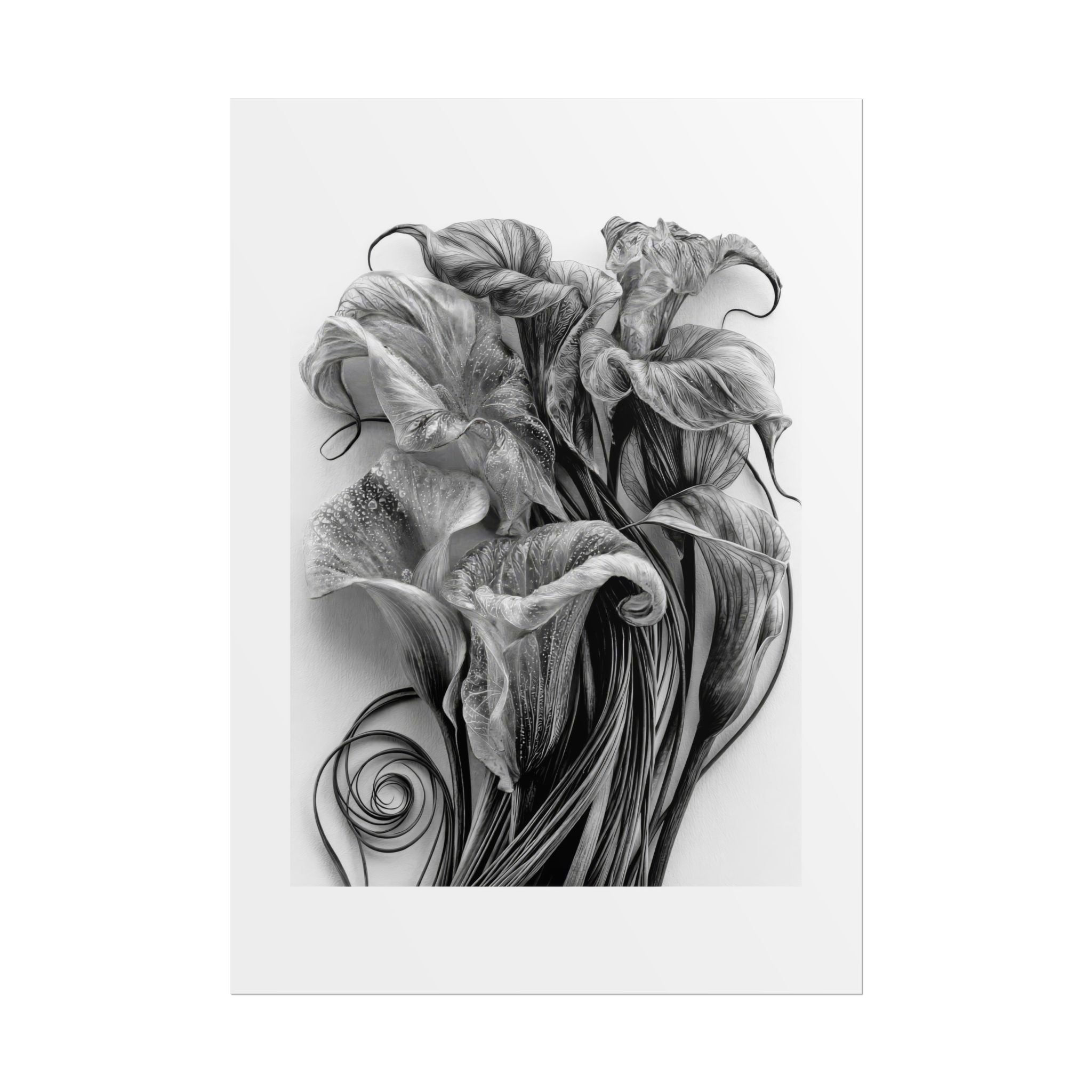 Rolled Poster — Black & White Floral Botanical Art Print