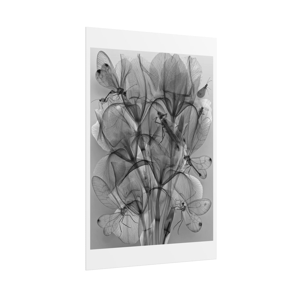 Botanical X-Ray Poster — Monochrome Floral Wall Art, Rolled Art Print