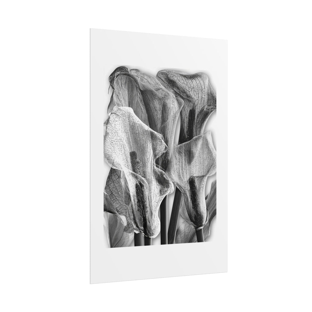 Black & White Calla Lily Poster — Minimal Floral Wall Art, Rolled Art Print for Living Room & Bedroom