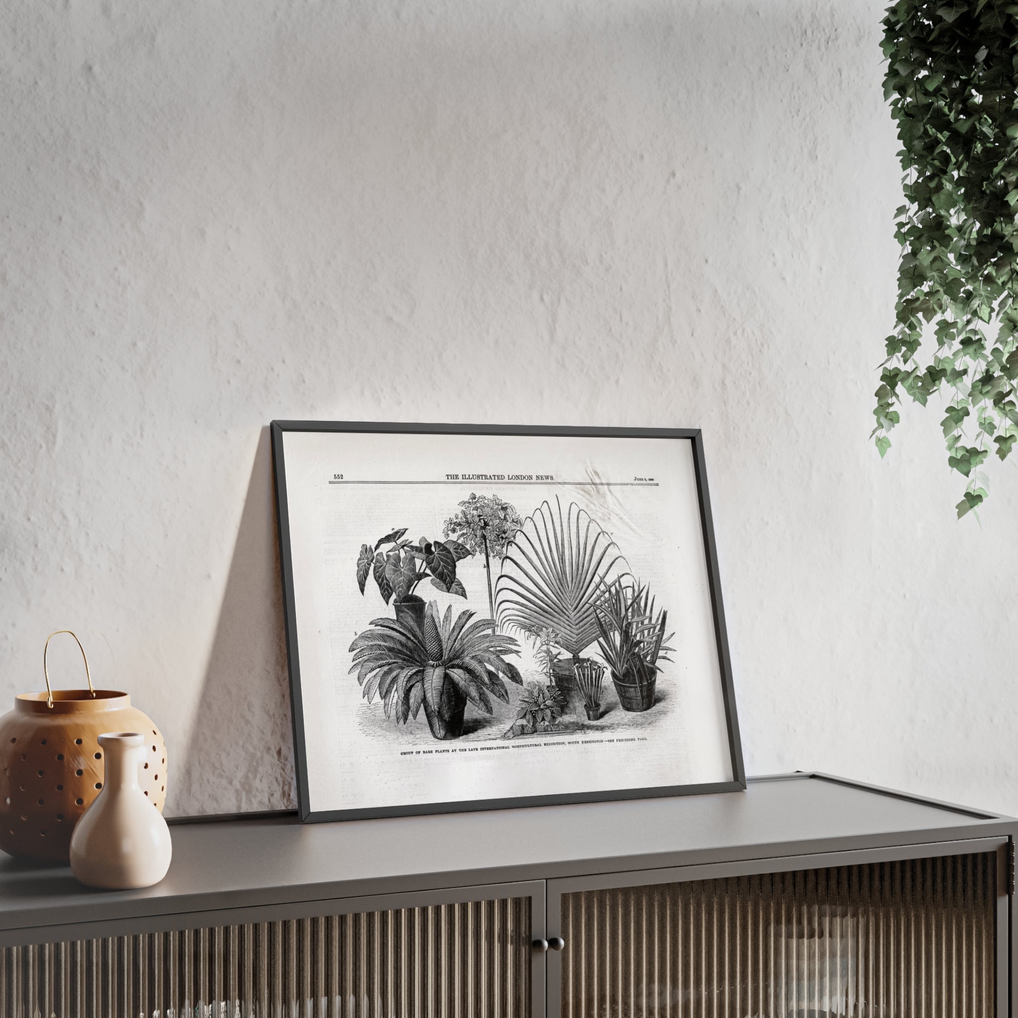 Group of Rare Plants at the International Horticultural Exhibition. Vintage Botanical Print Poster with Wooden Frame — Black & White Plant Illustration
