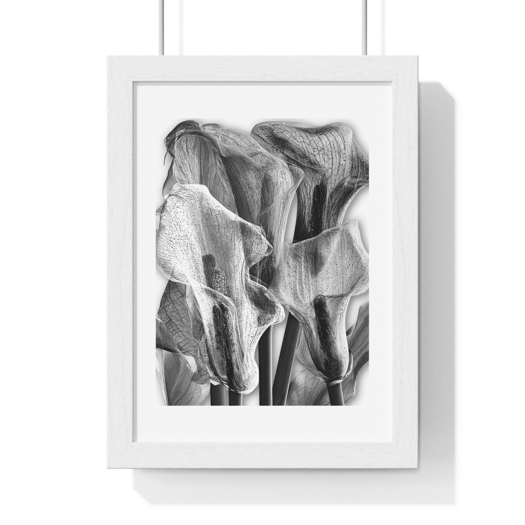 Black & White Calla Lily Framed Poster