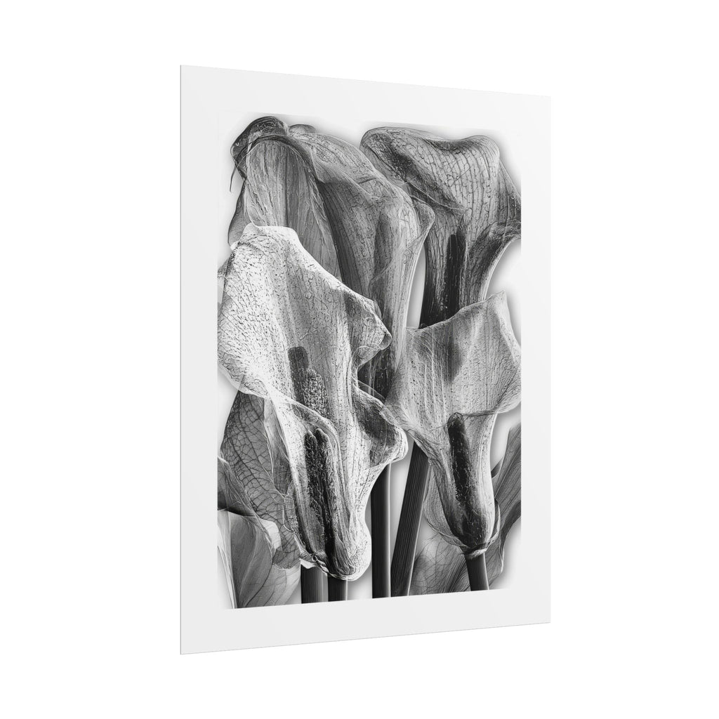 Black & White Calla Lily Poster — Minimal Floral Wall Art, Rolled Art Print for Living Room & Bedroom