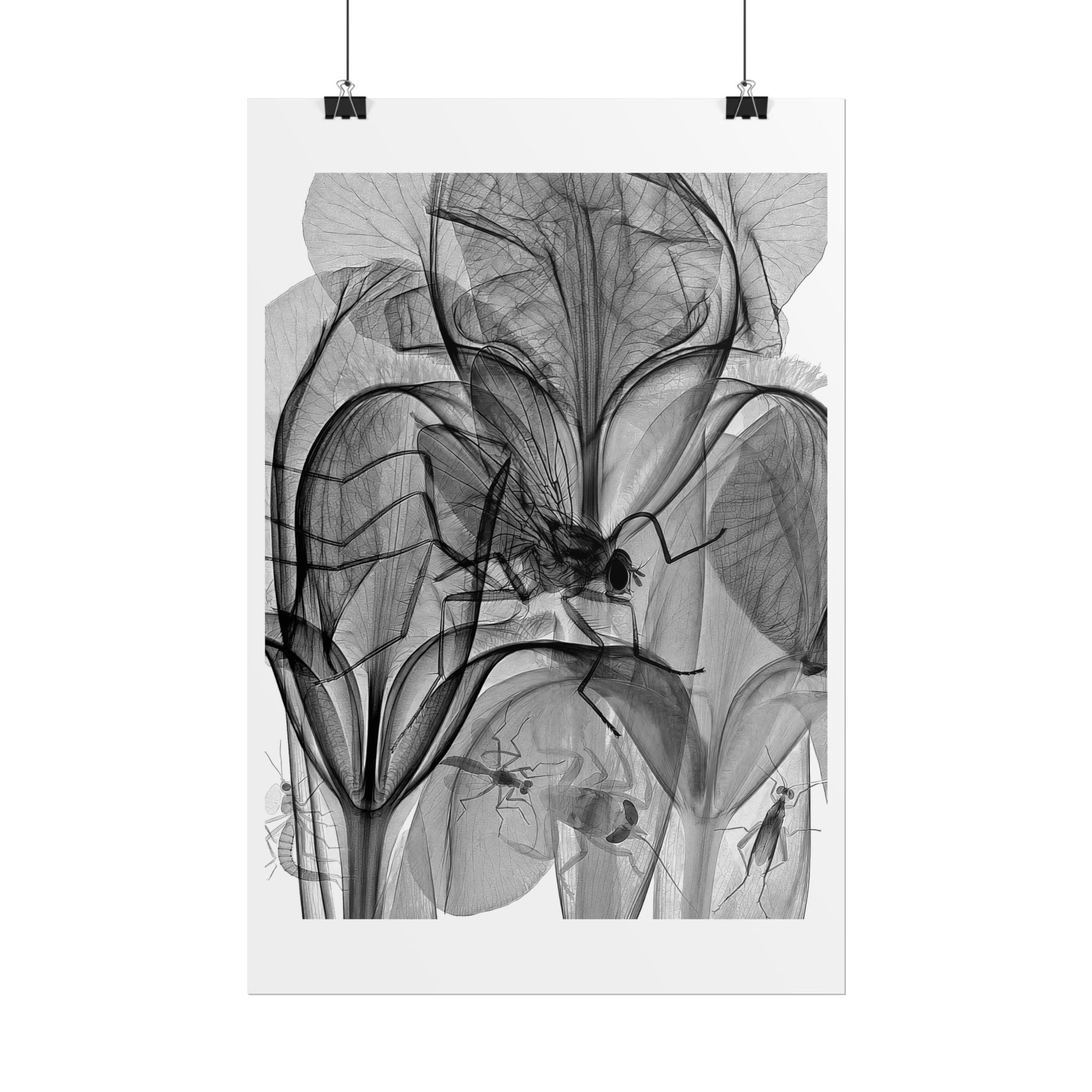 Botanical X-Ray Art Poster — Monochrome Floral Rolled Print