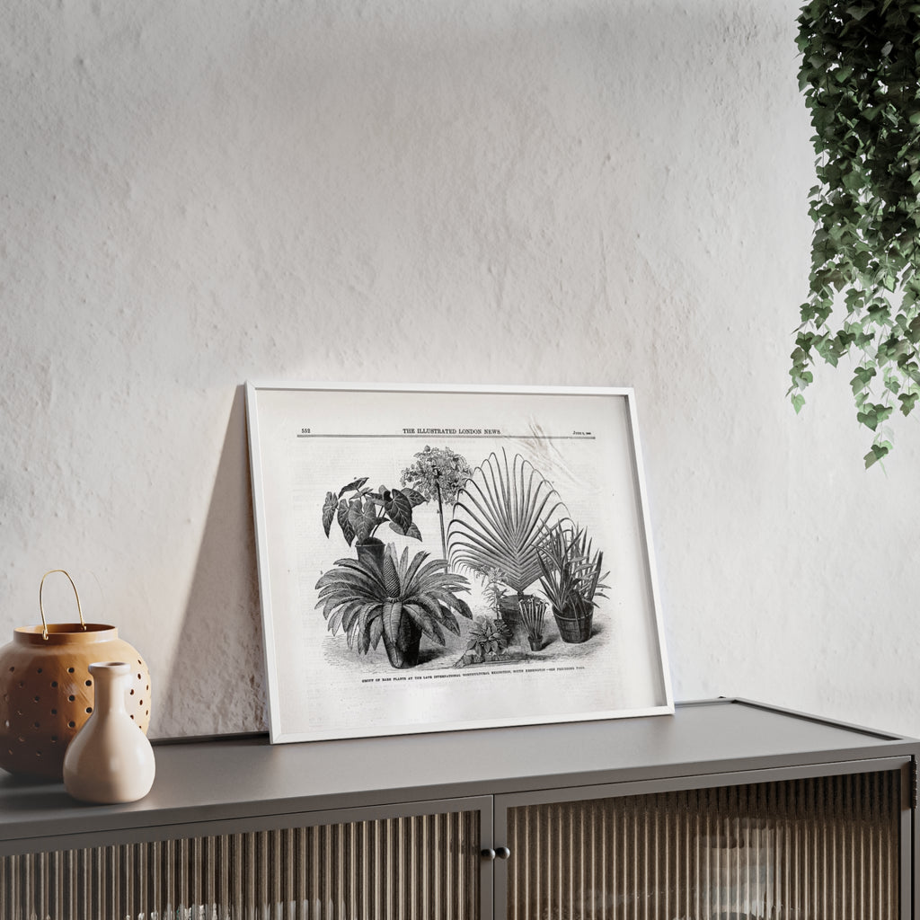 Group of Rare Plants at the International Horticultural Exhibition. Vintage Botanical Print Poster with Wooden Frame — Black & White Plant Illustration