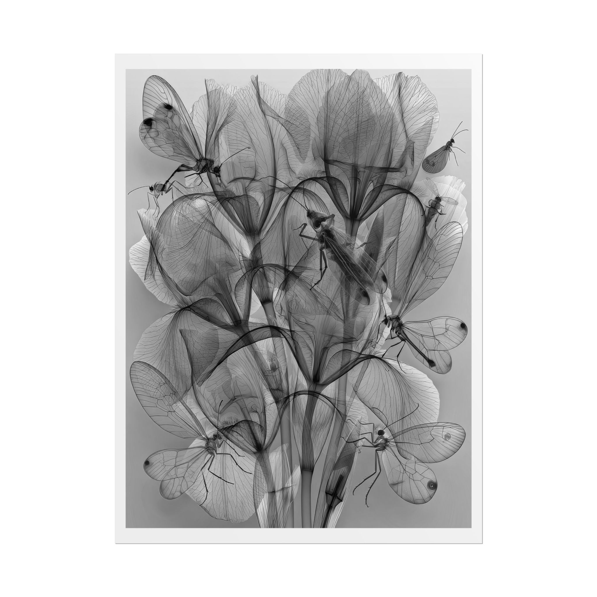 Botanical X-Ray Poster — Monochrome Floral Wall Art, Rolled Art Print