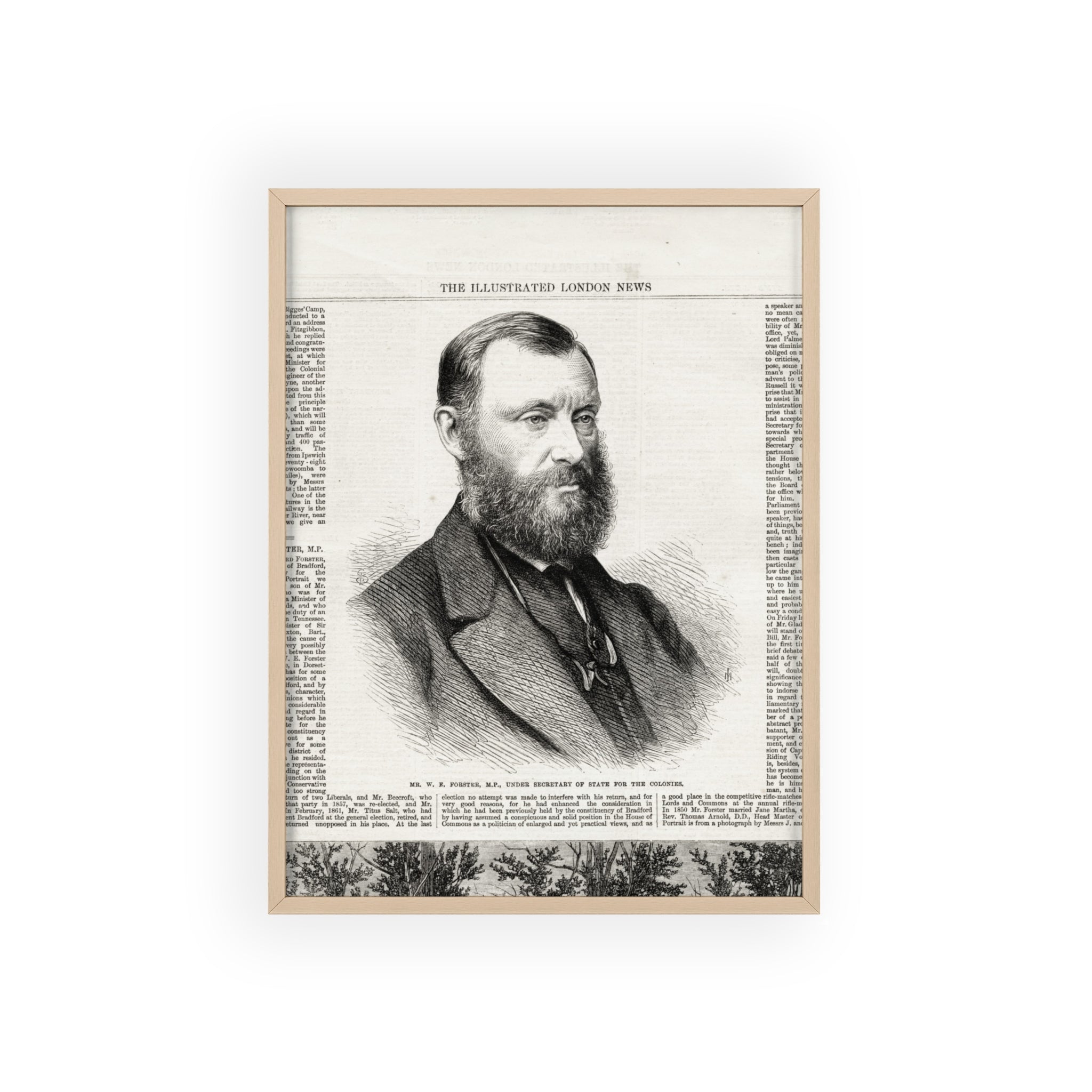 W. E. Forster, MP.  Under Secreatry of State for the Colonies.  Framed Vintage Portrait Poster — Antique Illustrated London News Print