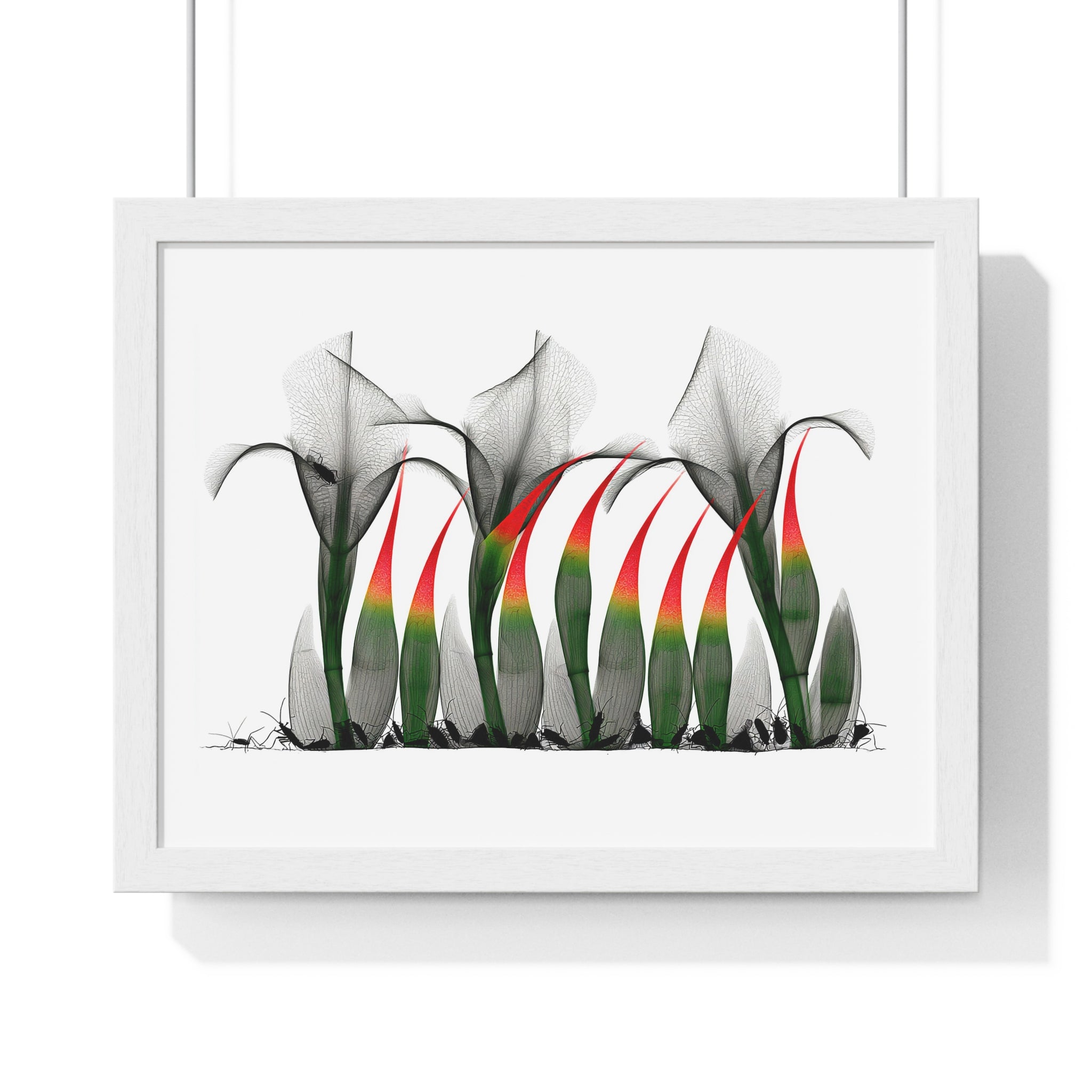 Framed Poster - Abstract Botanical Calla Lily Art with Red & Green Accents
