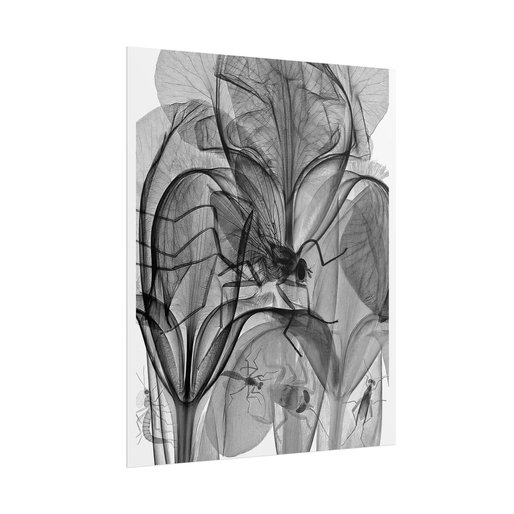 Botanical X-Ray Art Poster — Monochrome Floral Rolled Print