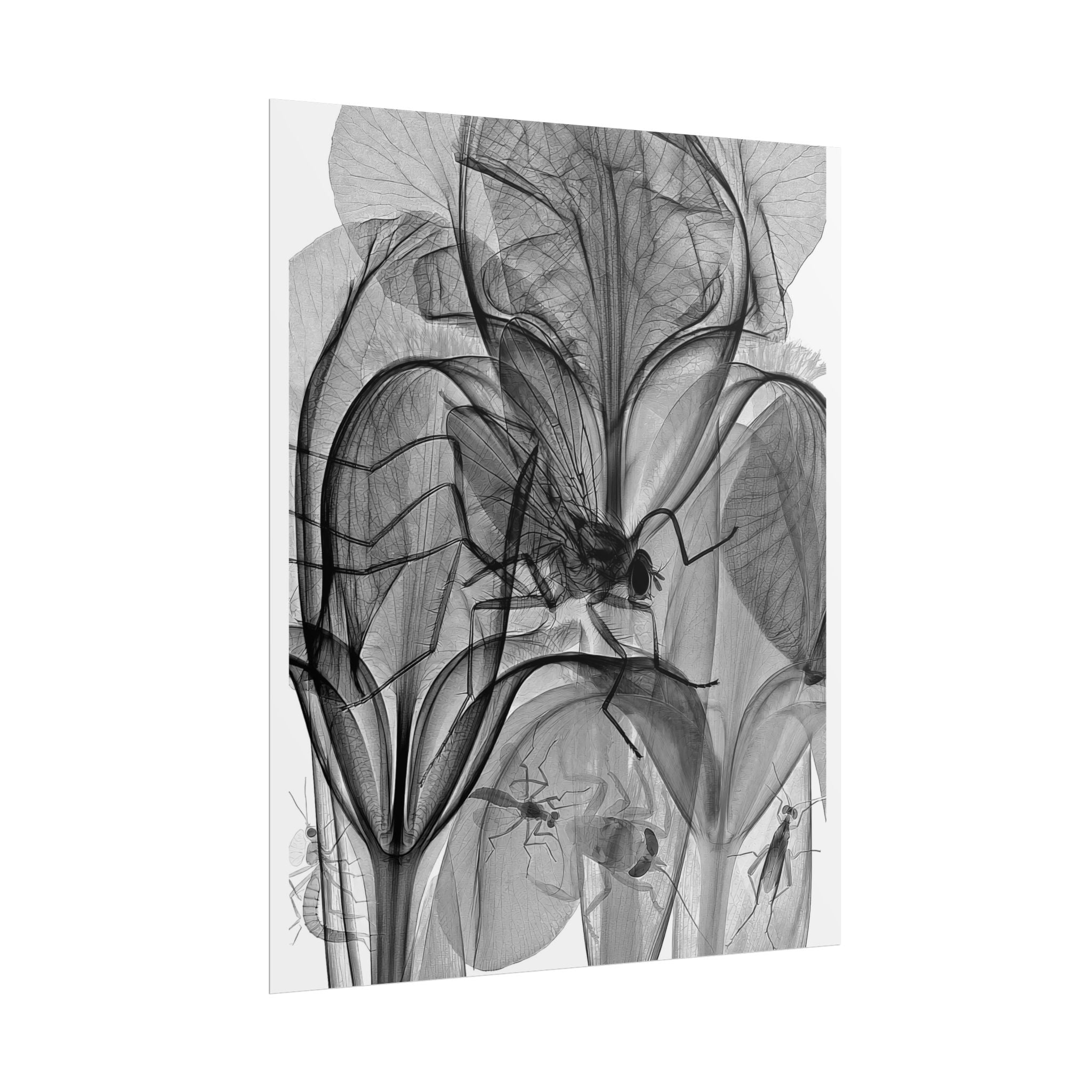Botanical X-Ray Art Poster — Monochrome Floral Rolled Print