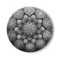 Mandala Ceramic Coaster — Monochrome Floral Geometric Drink Coaster