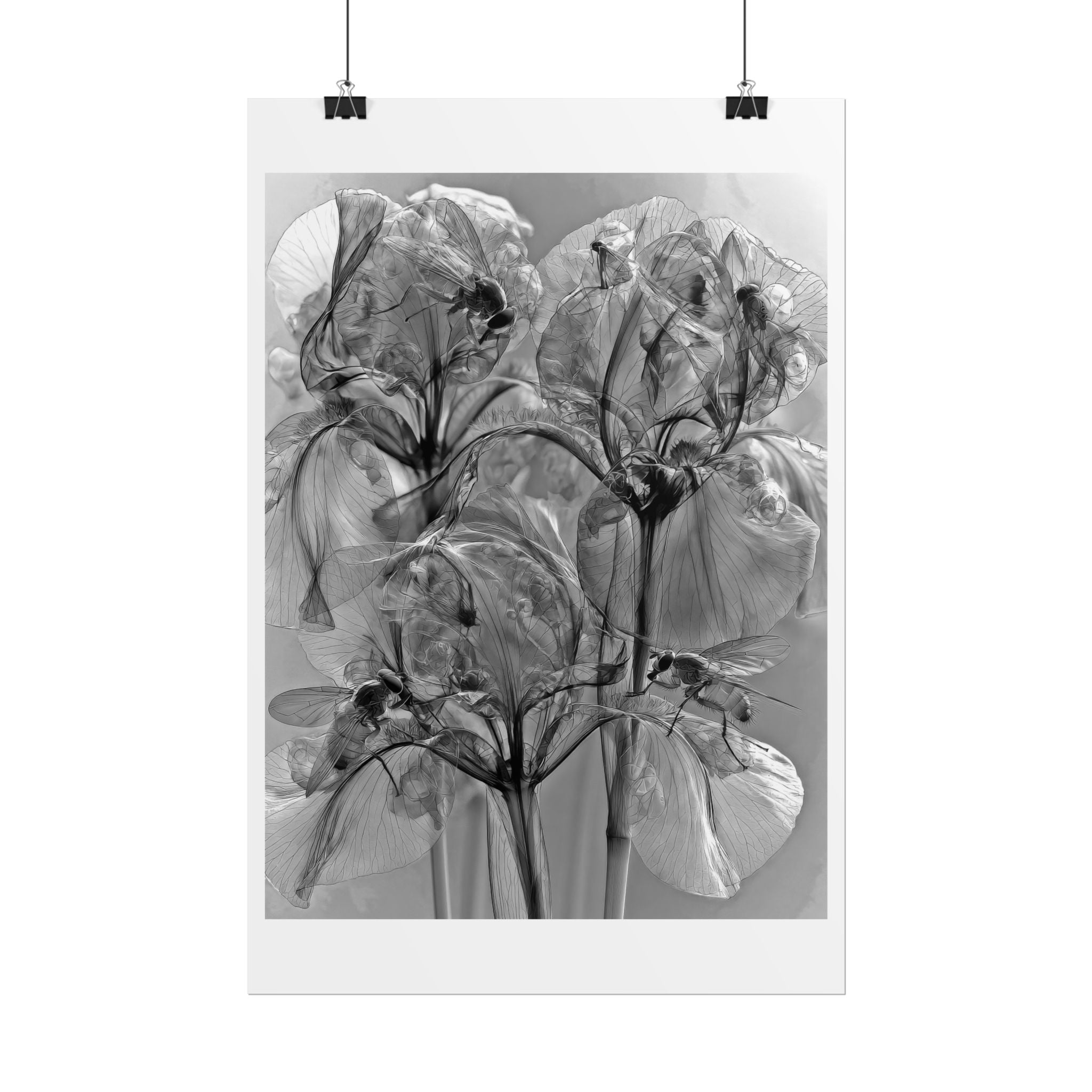Rolled Poster — Monochrome X-Ray Floral Art Print