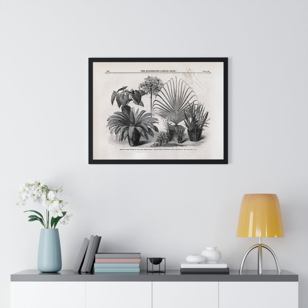 Vintage Botanical Print Framed Poster — Antique Plant Illustration
