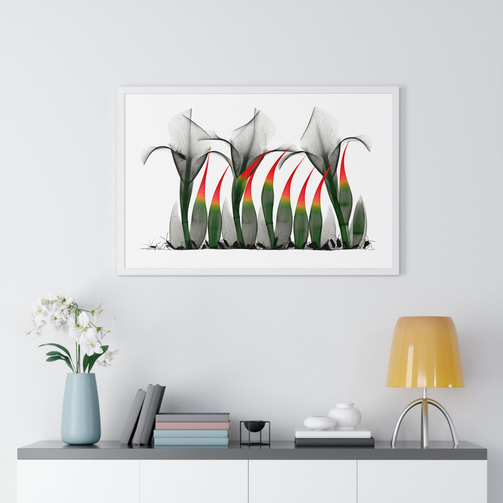 Framed Poster - Abstract Botanical Calla Lily Art with Red & Green Accents