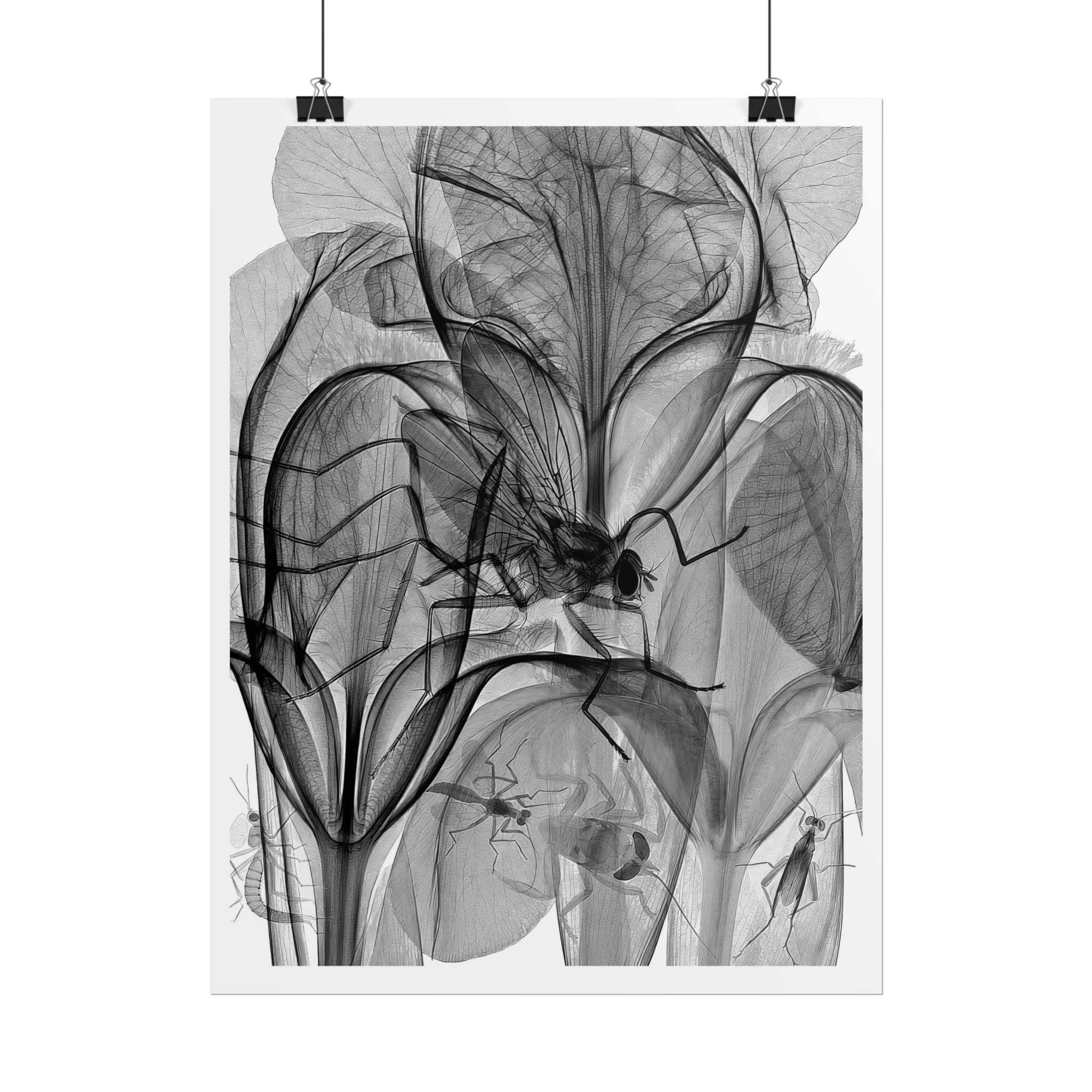 Botanical X-Ray Art Poster — Monochrome Floral Rolled Print