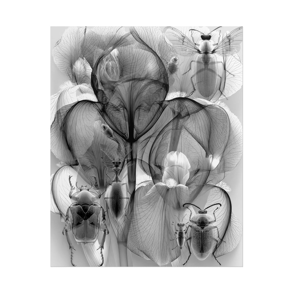 Orchid X-Ray Art Poster — Monochrome Floral Insect Wall Print