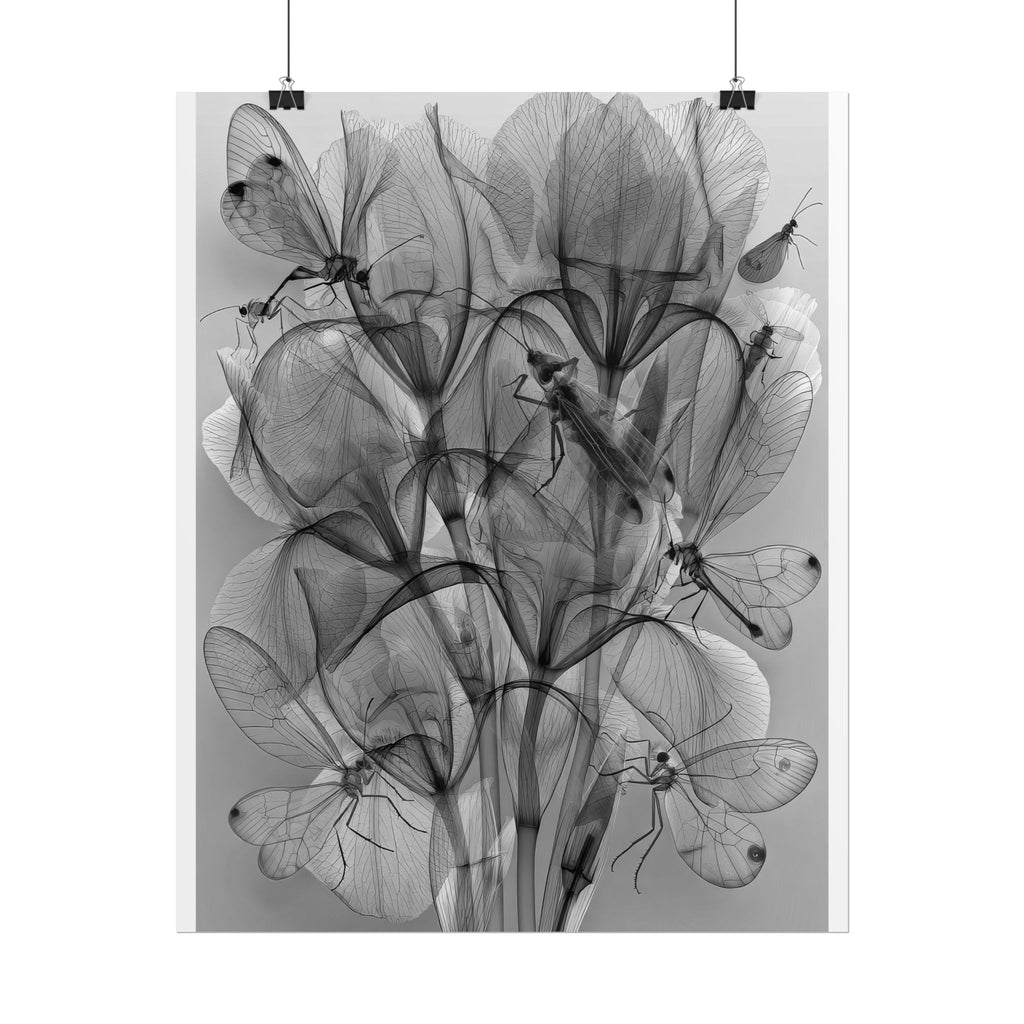 Botanical X-Ray Poster — Monochrome Floral Wall Art, Rolled Art Print