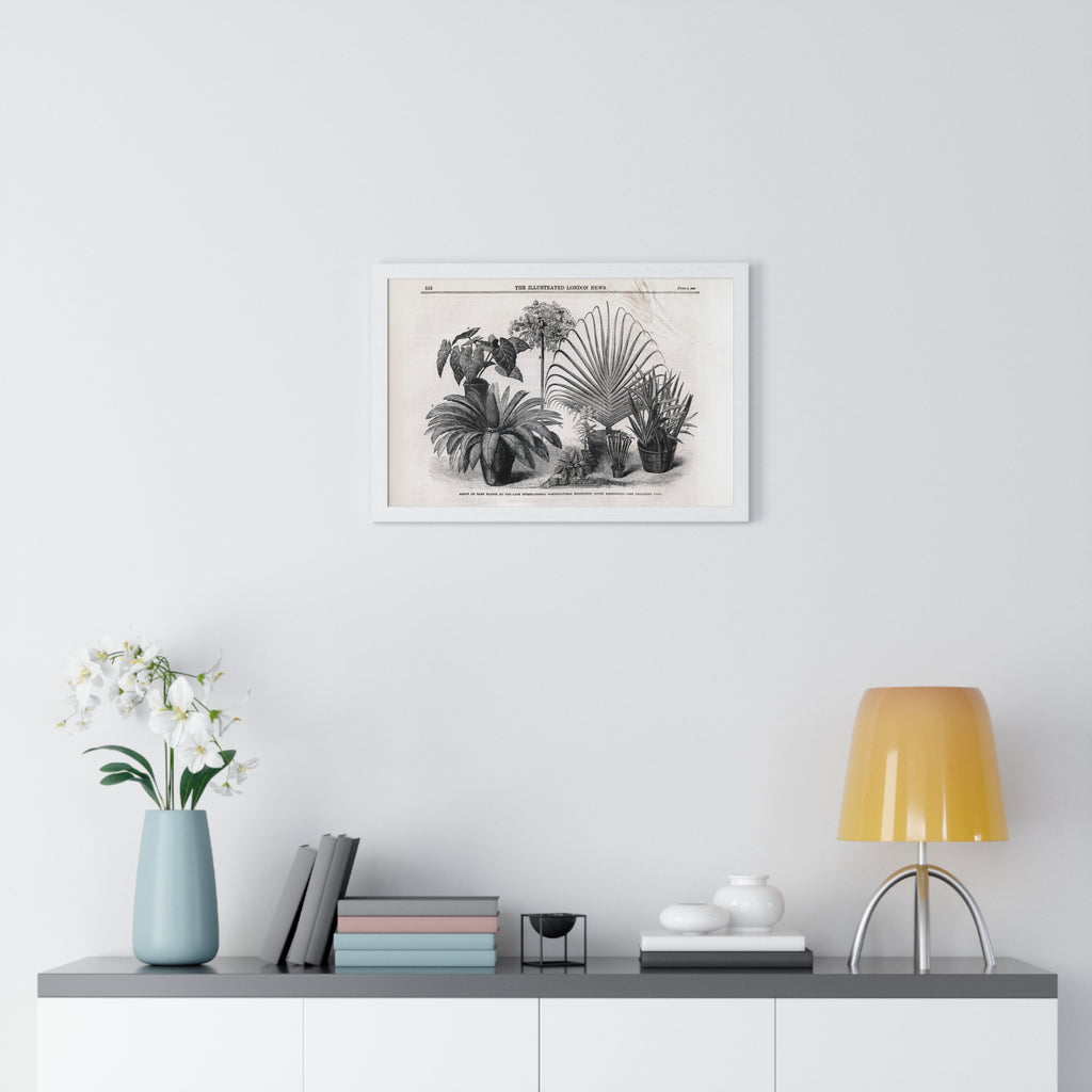 Vintage Botanical Print Framed Poster — Antique Plant Illustration