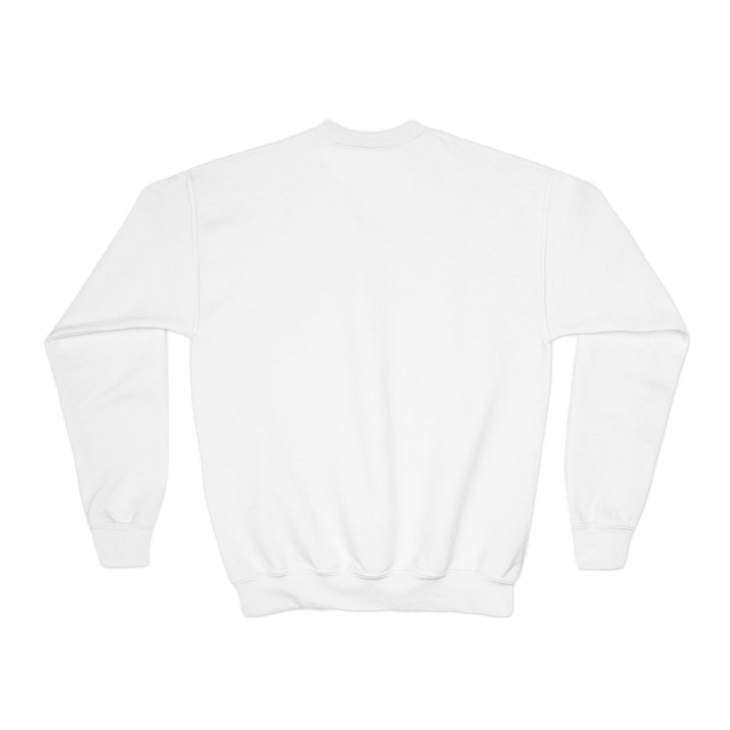 Youth Crewneck Sweatshirt — Psychedelic Colorful Cat Head Graphic