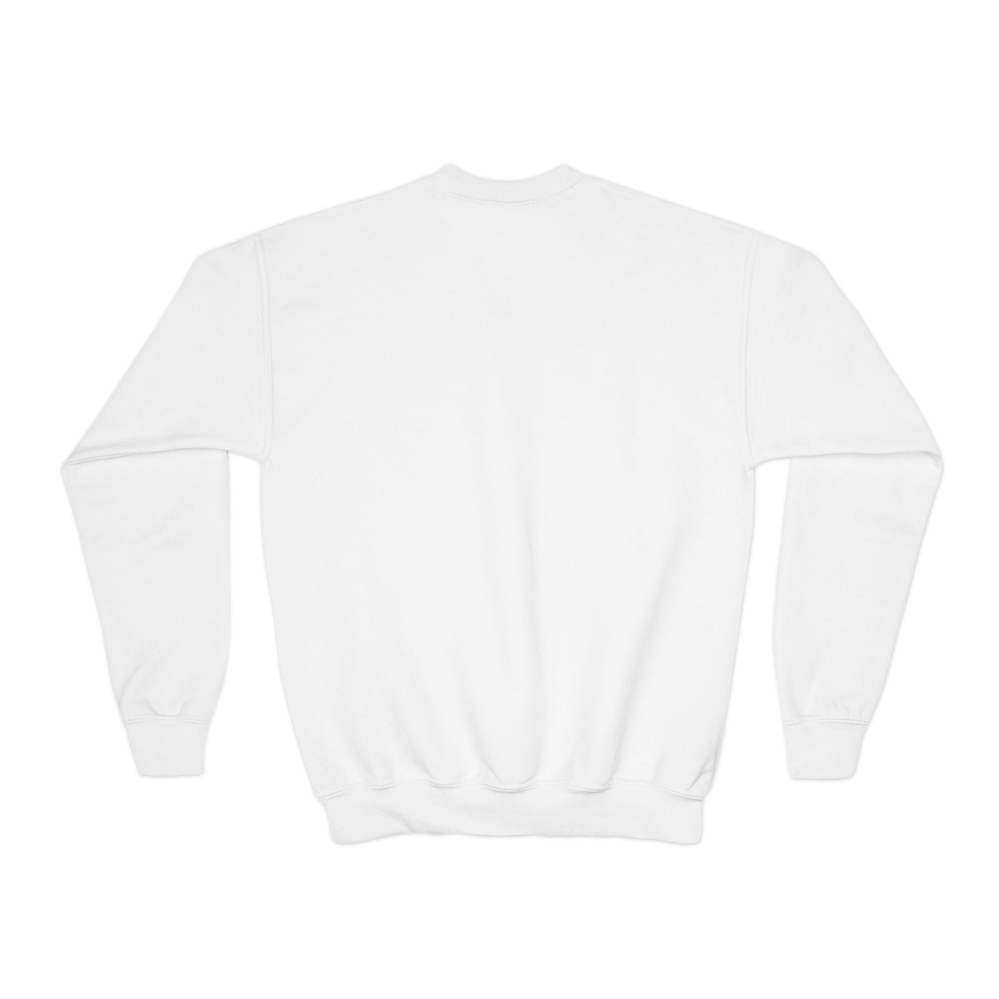 Youth Crewneck Sweatshirt — Psychedelic Colorful Cat Head Graphic