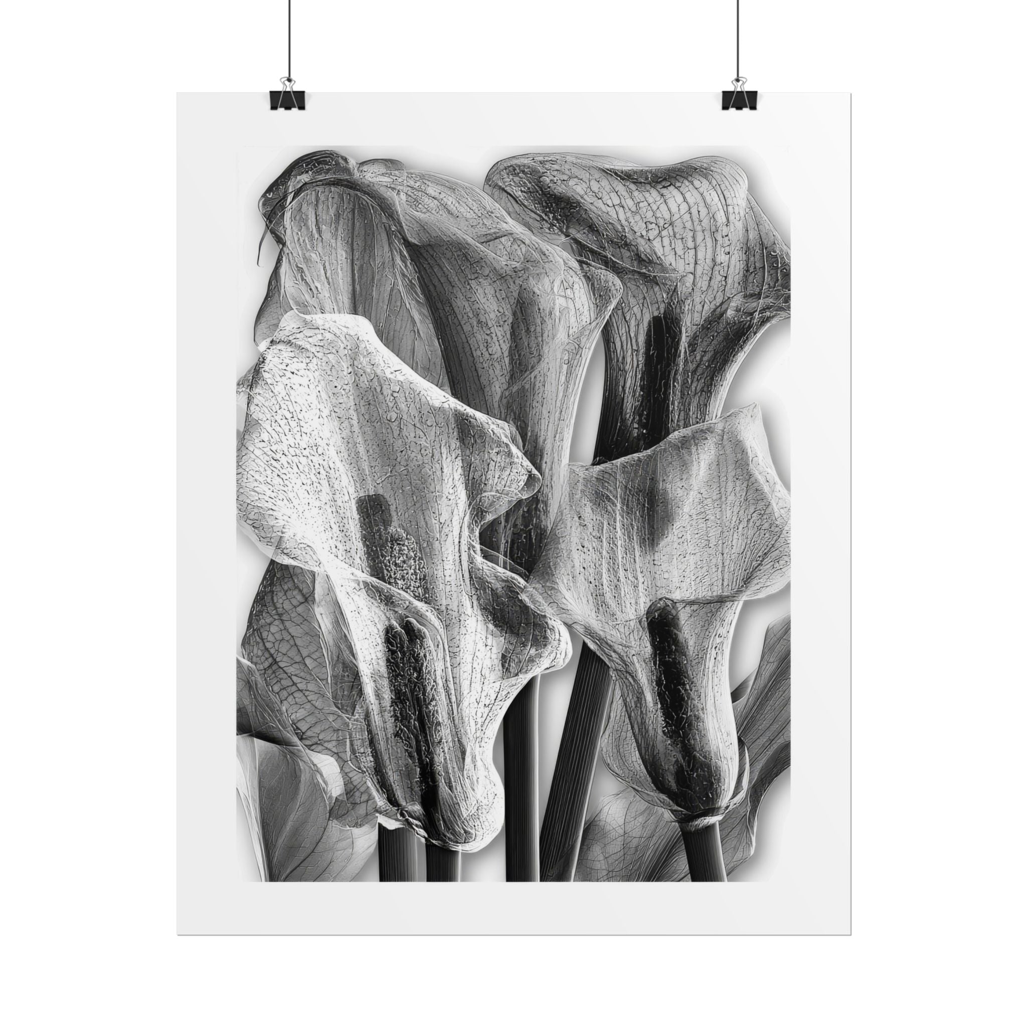 Black & White Calla Lily Poster — Minimal Floral Wall Art, Rolled Art Print for Living Room & Bedroom