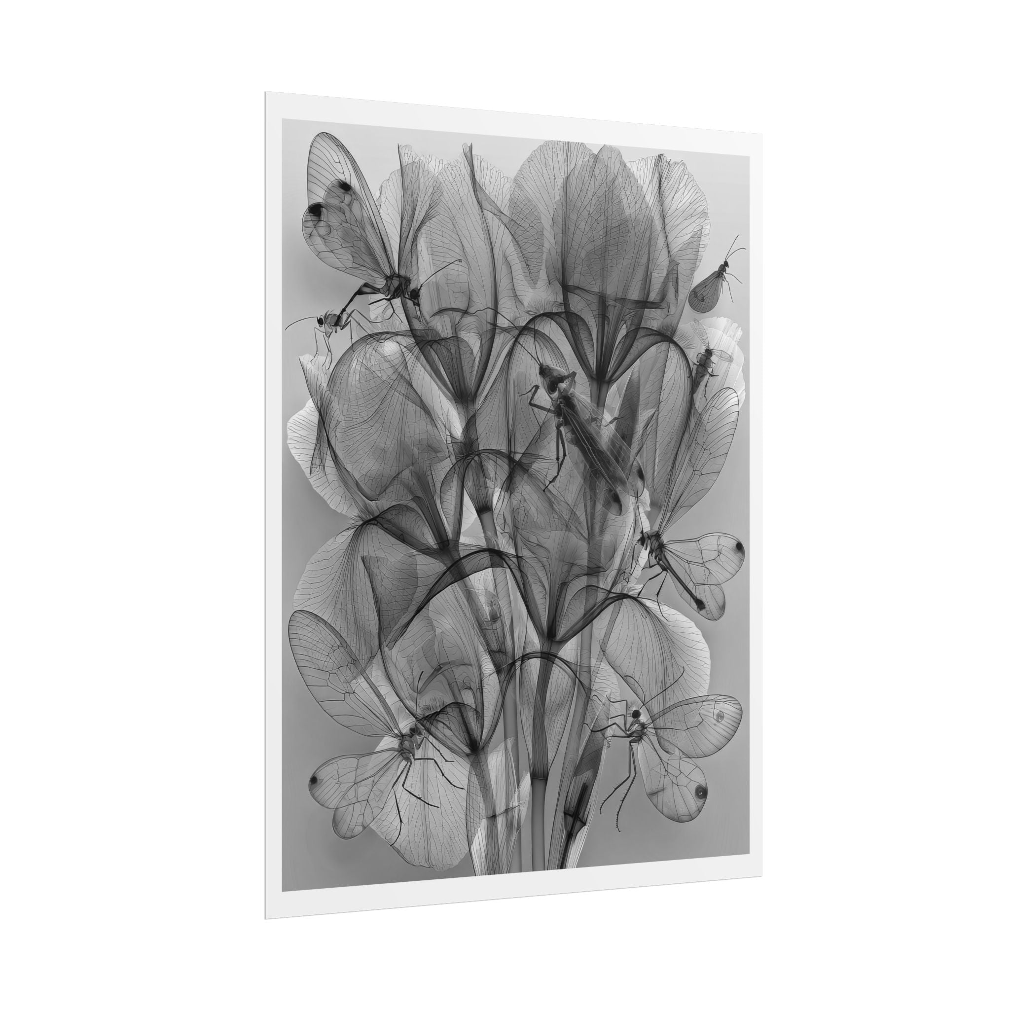 Botanical X-Ray Poster — Monochrome Floral Wall Art, Rolled Art Print